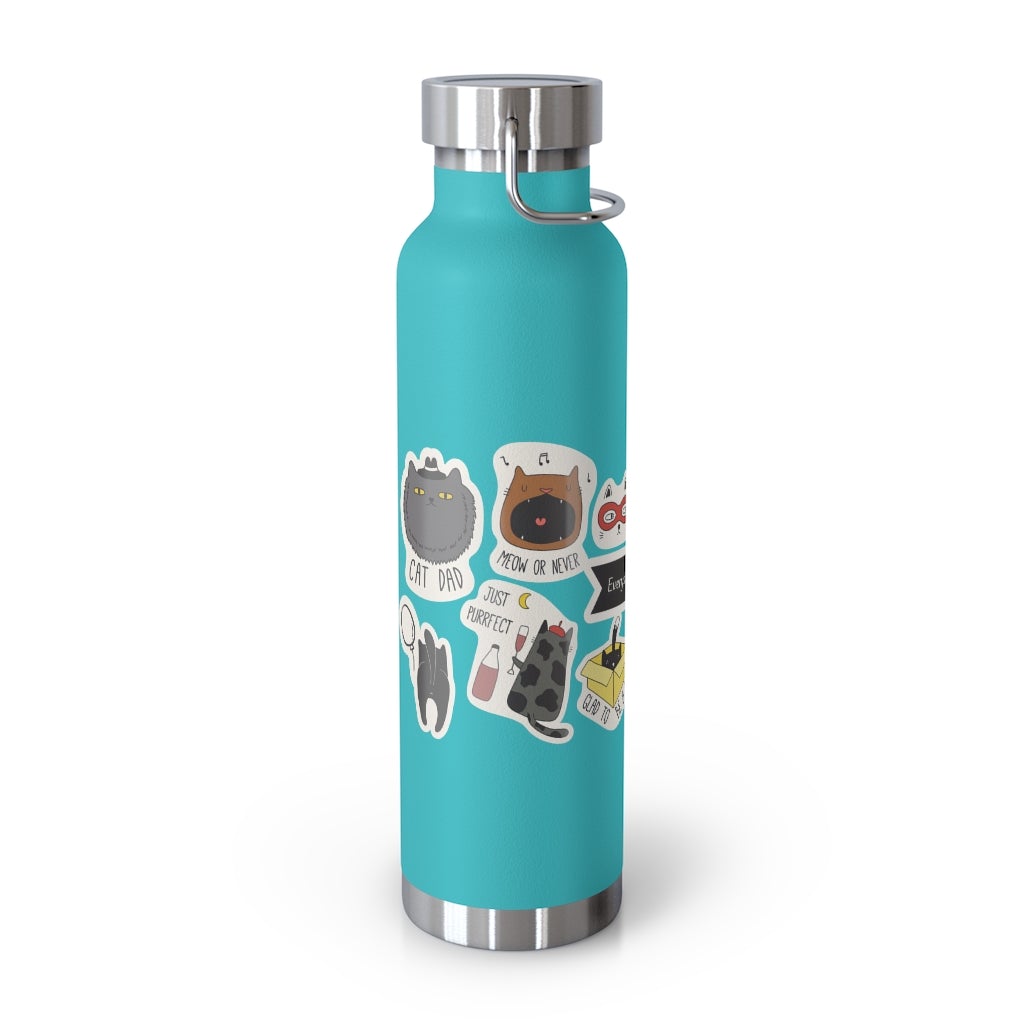 Insulated Thermos Bottle 22oz