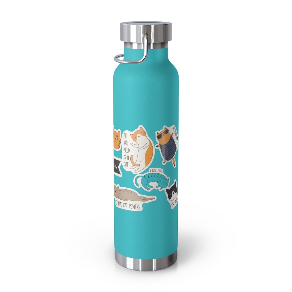 Insulated Thermos Bottle 22oz