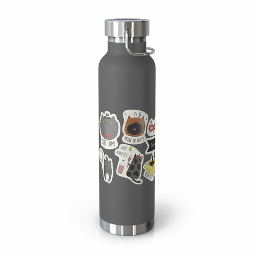 Insulated Thermos Bottle 22oz