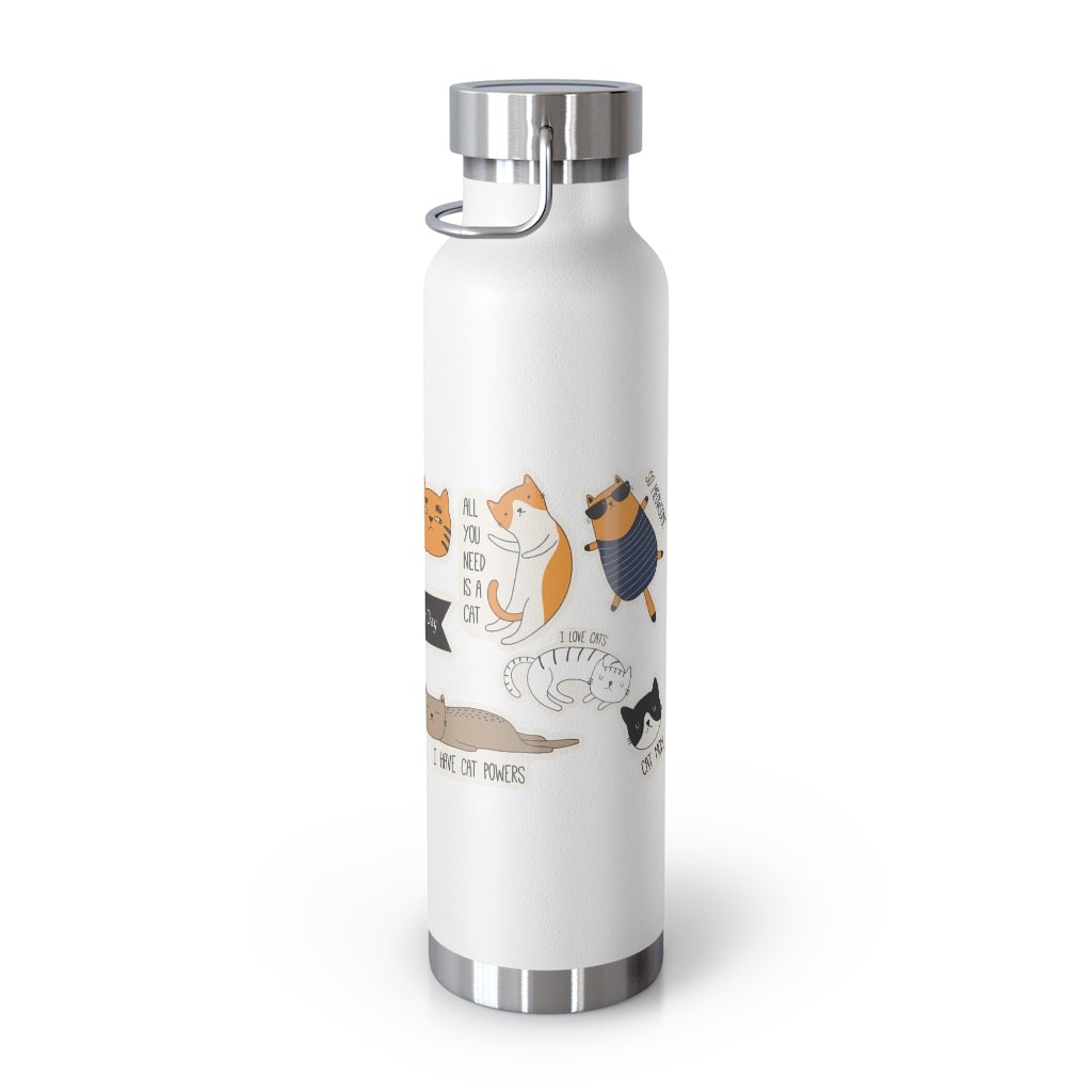 Insulated Thermos Bottle 22oz