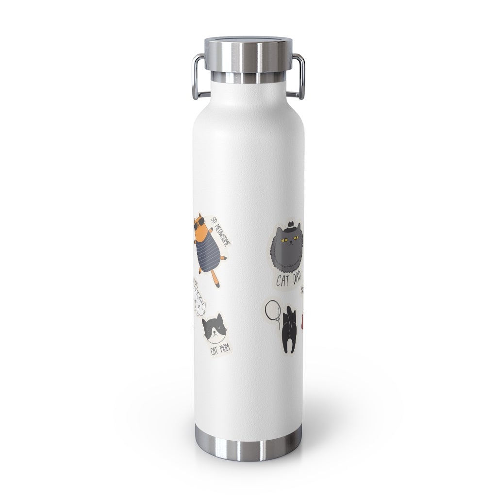 Insulated Thermos Bottle 22oz