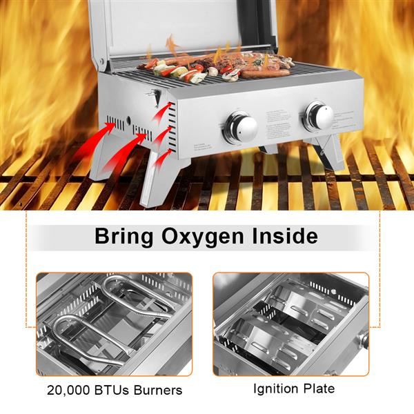 Stainless Steel Gas Grill Oven - Double Row