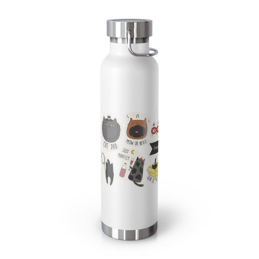 Insulated Thermos Bottle 22oz